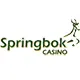 springbokcasino logo image